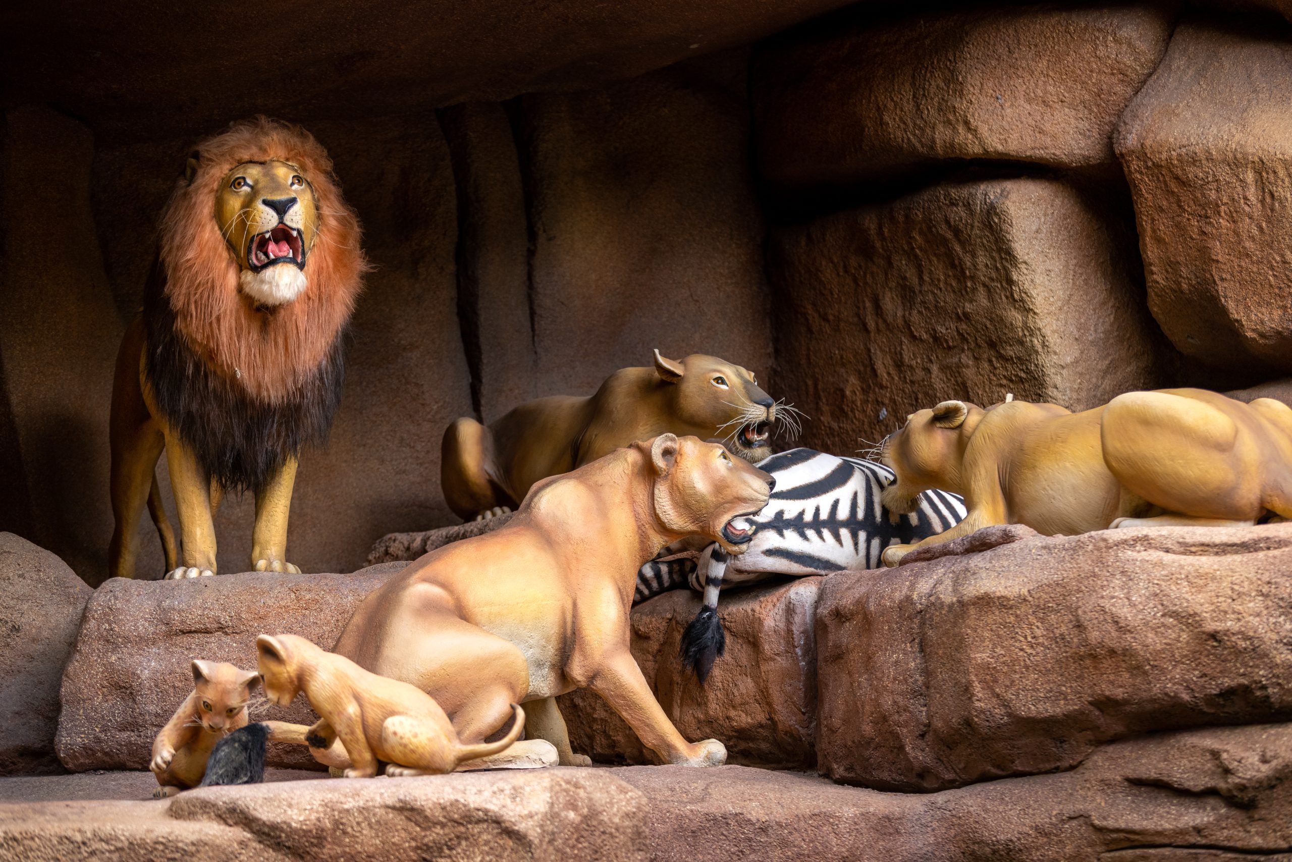 Jungle Cruise at Magic Kingdom, lions eating zebra scene