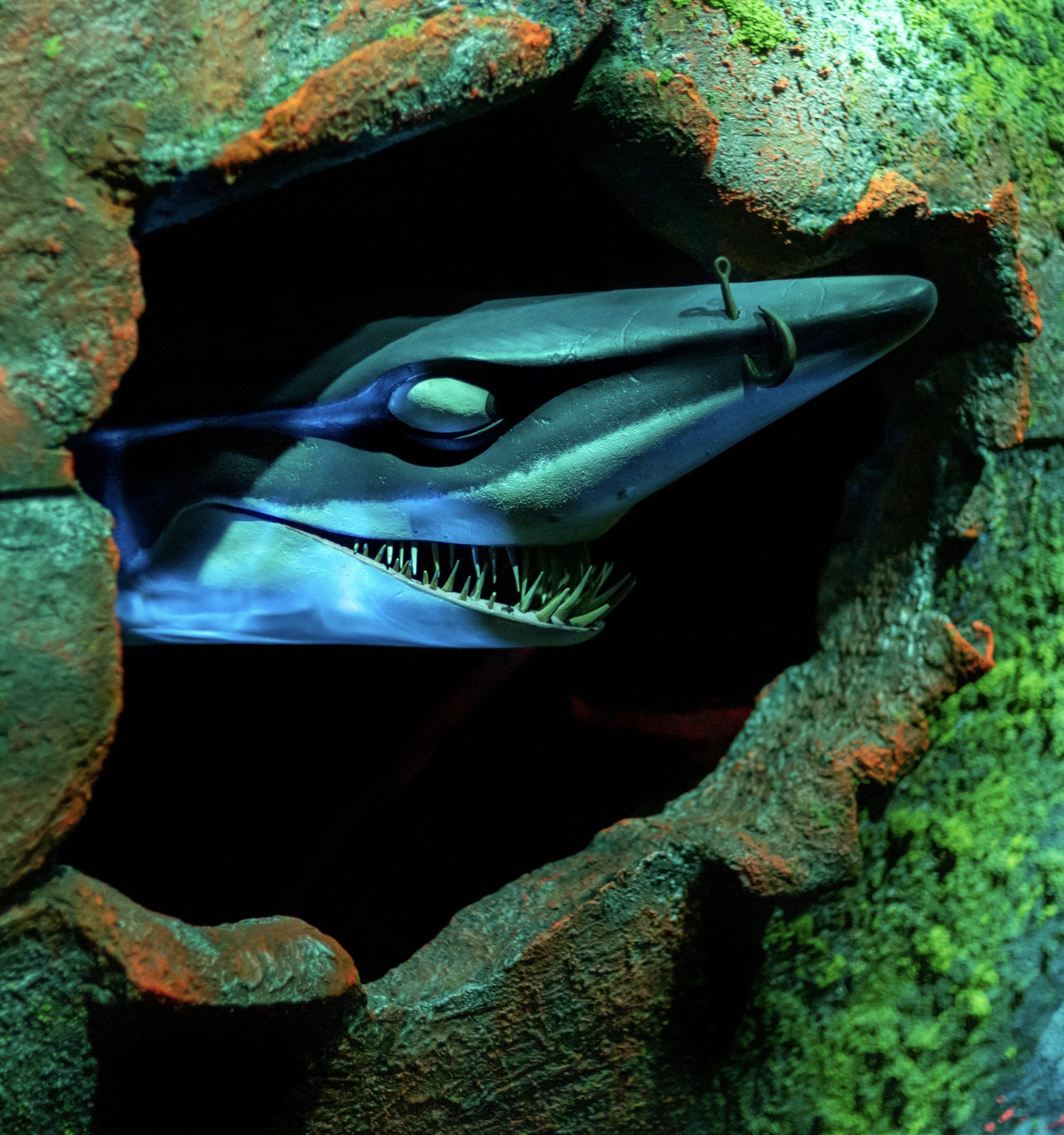 The Seas with Nemo and Friends, Bruce the shark