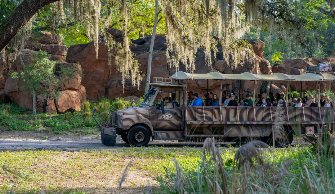 What We Do First at Every Disney World Park