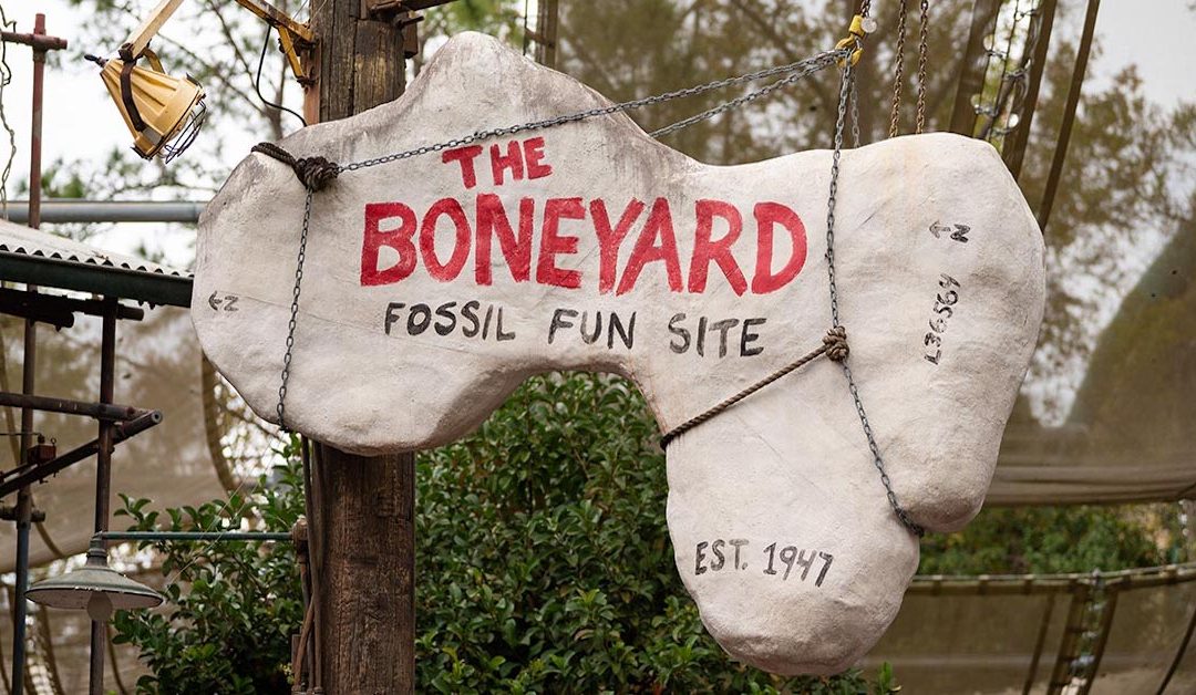 The Boneyard