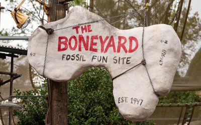 The Boneyard