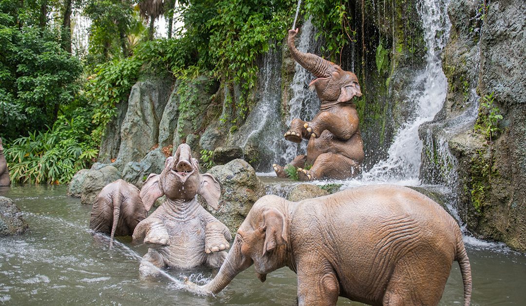 The Best Disney World Rides for Kids Who Can’t Handle Thrills Yet