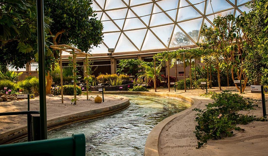 This is the Most Underrated Ride in EPCOT for Dads Who Need a Break