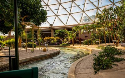 This is the Most Underrated Ride in EPCOT for Dads Who Need a Break
