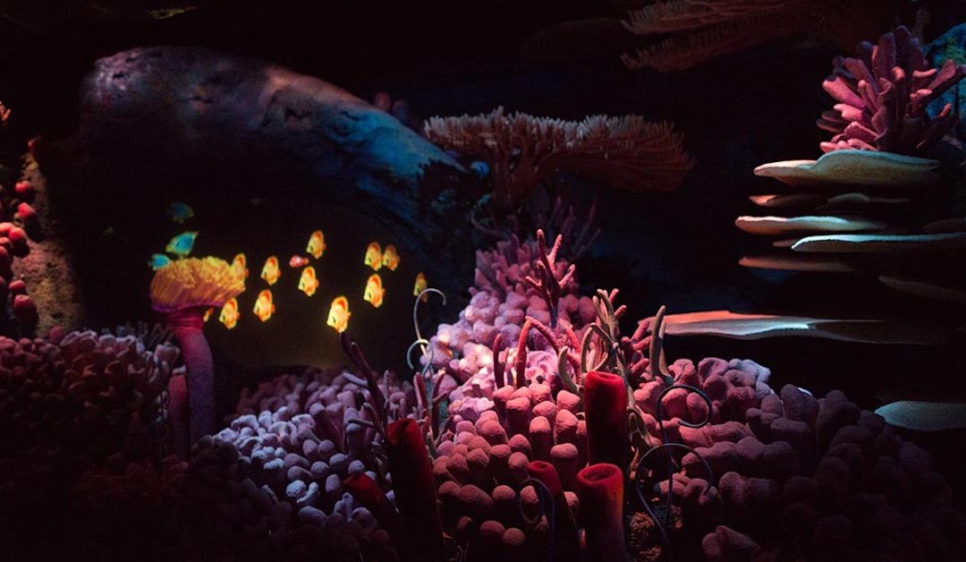 The Seas with Nemo & Friends Is the Perfect Disney Ride for Toddlers – Here’s Why