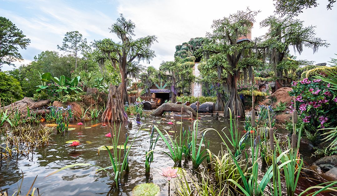 Disney World Water Rides: A Complete Guide