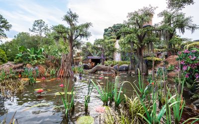 Tiana’s Bayou Adventure at Magic Kingdom