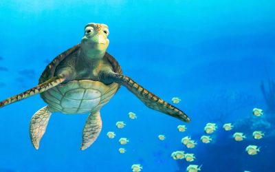 Turtle Talk With Crush