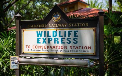 Wildlife Express Train