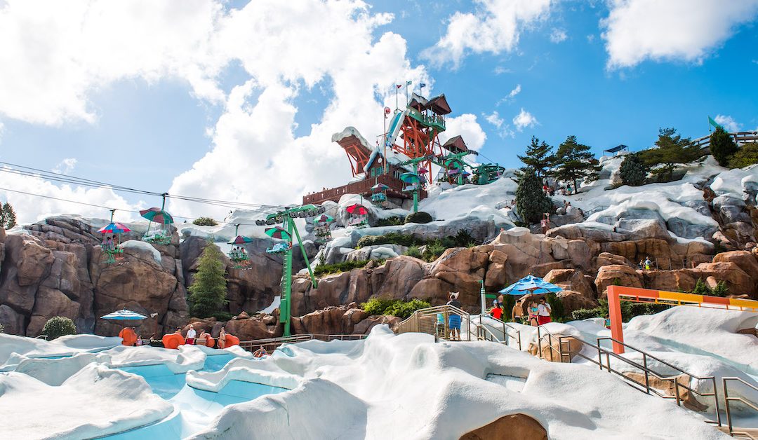 Which Disney World Water Park Is Right for Your Family?