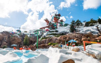 Which Disney World Water Park Is Right for Your Family?