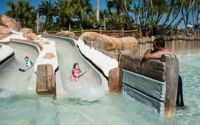 Bay Slides