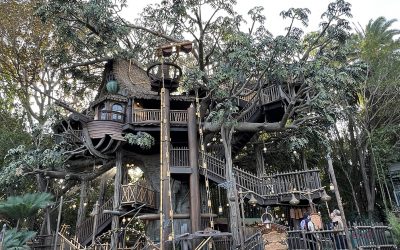 Adventureland Treehouse inspired by Walt Disney’s Swiss Family Robinson