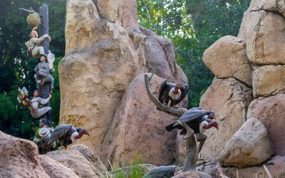 Jungle Cruise
