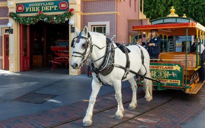 Main Street Vehicles
