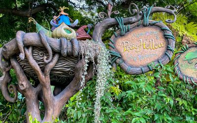 Meet Tinker Bell in Pixie Hollow