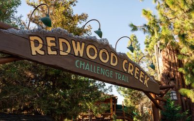 Redwood Creek Challenge Trail