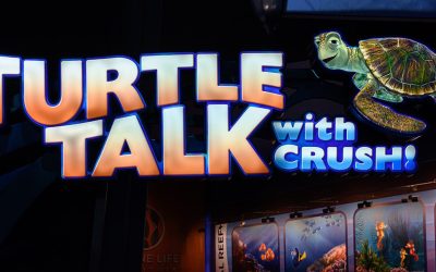 Turtle Talk with Crush