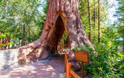 This Hidden Gem Attraction is the Best Place to Take Toddlers at Disneyland