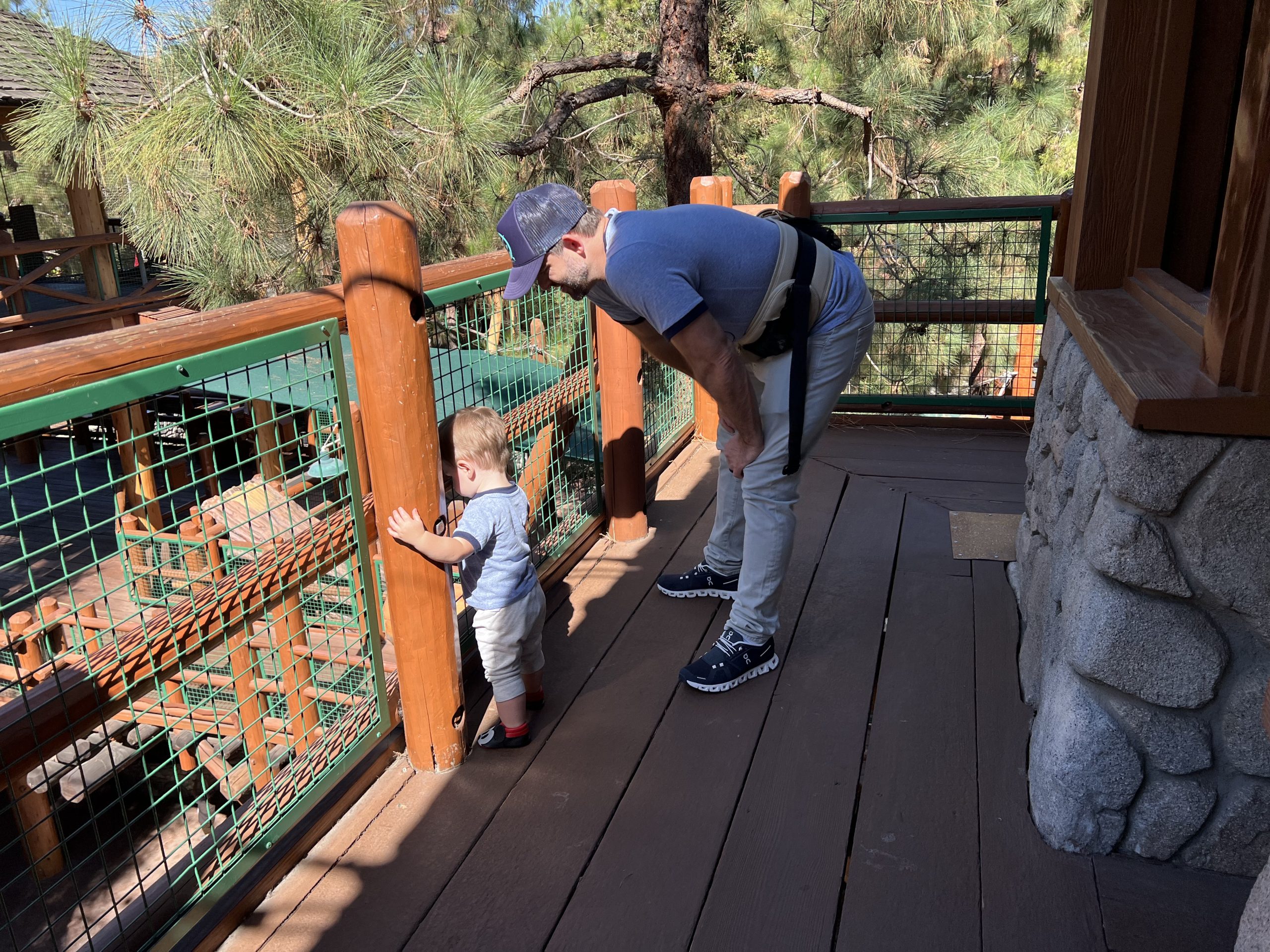 Redwood Creek Challenge Trail lookout tower