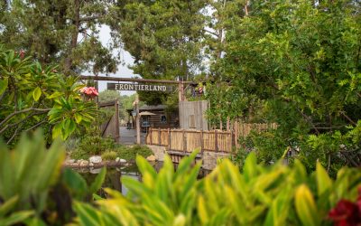 River Belle Terrace