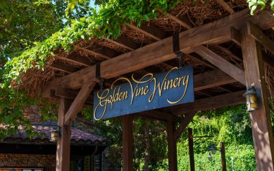 Sonoma Terrace