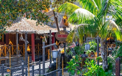 The Tropical Hideaway
