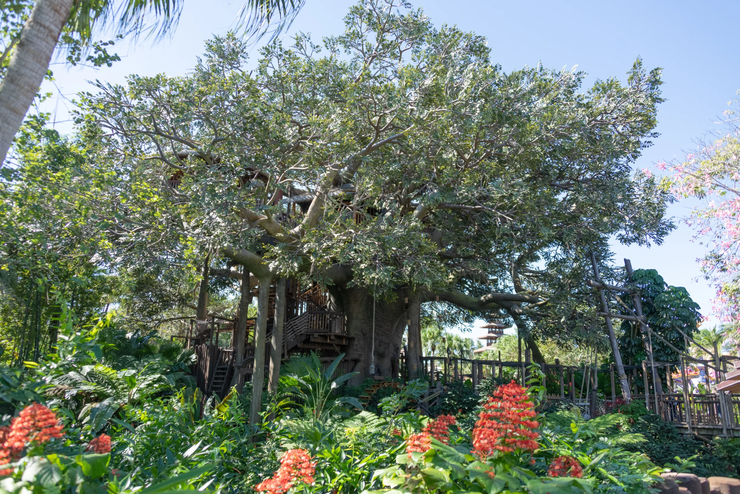 Swiss Family Treehouse sunny day from a distance