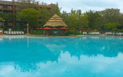 Uzima Springs Pool Bar