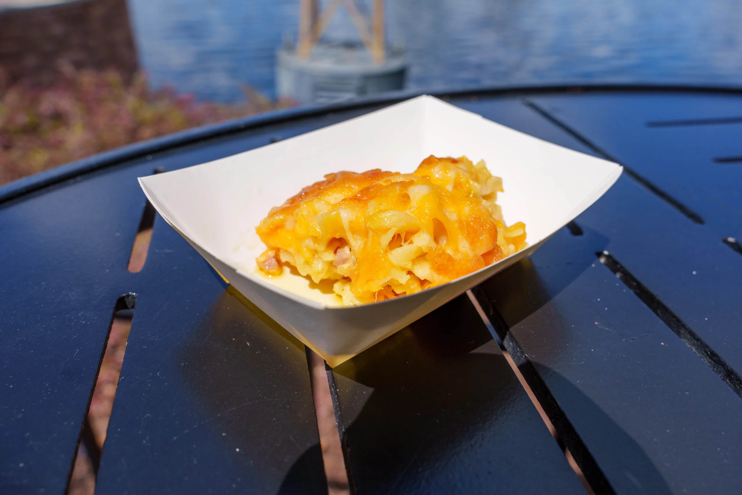 Dish from EPCOT's Food & Wine Festival