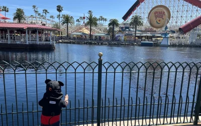 What It’s Like Rope Dropping Disneyland With a Toddler Who Slept 4 Hours and Ate 1 Grape