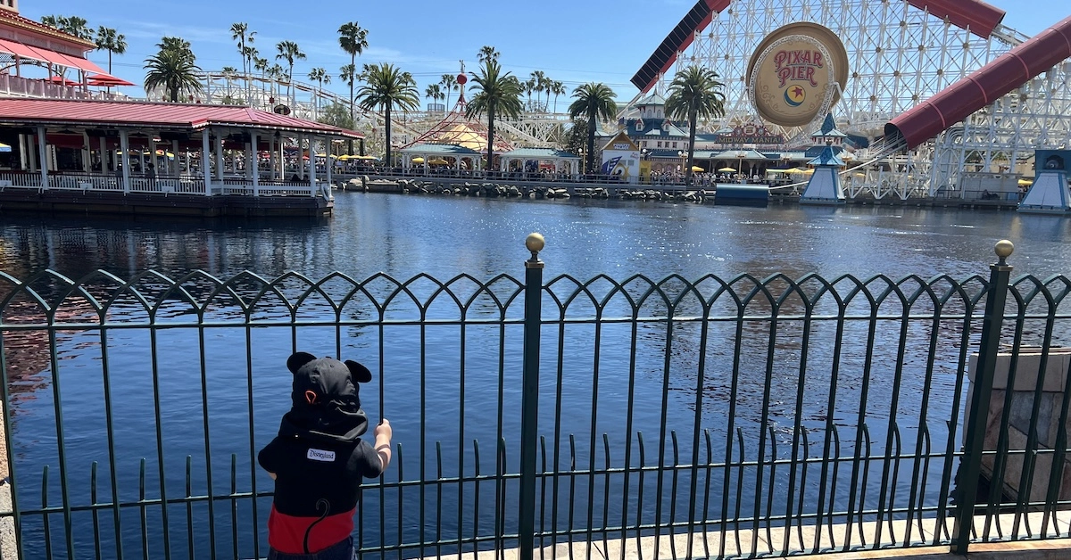 Pixar Pier toddler (FI) Toddler looking at Pixar Pier at Disneyland Resort, rope drop with toddler